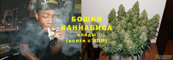 2c-b Белокуриха